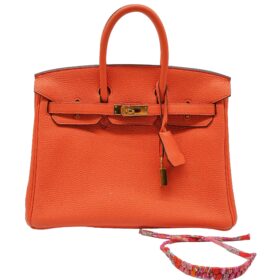 Hermes Birkin 25 Orange Poppy Togo GHW RJC3727